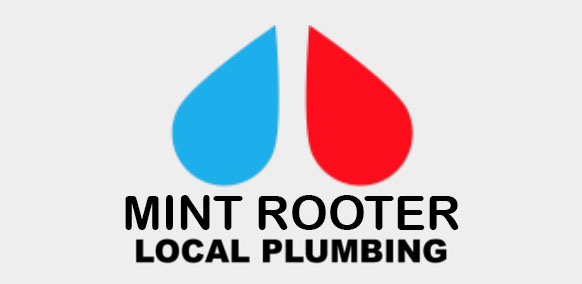 Mint Rooter Local Plumbing
